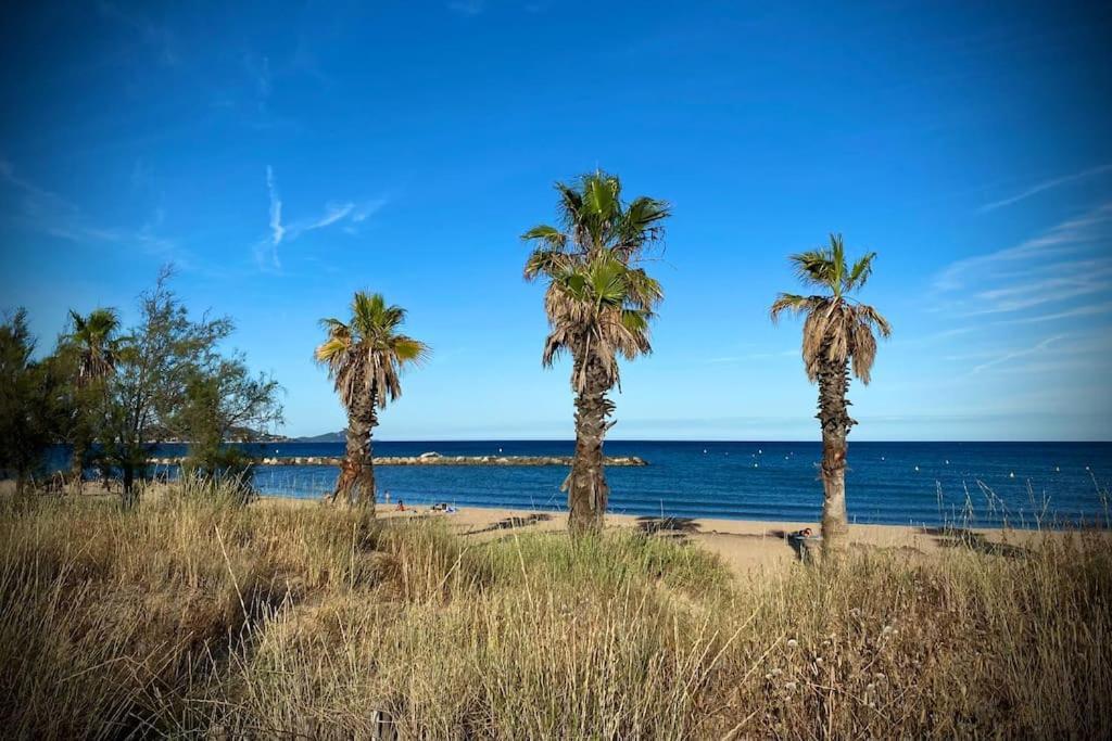 Port-Frejus, Le Paladien, Appartement 2 Pieces Climatise, Terrasse & Parking Eksteriør billede